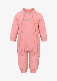 Non sélectionné, raspberry