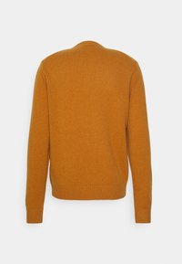 Maglione a maniche lunghe con collo rotondo di un arancione senape, con polsini e orlo a coste, mostrato da dietro su uno sfondo bianco.