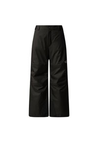 The North Face FREEDOM INSULATED PANT - Snow pants - black