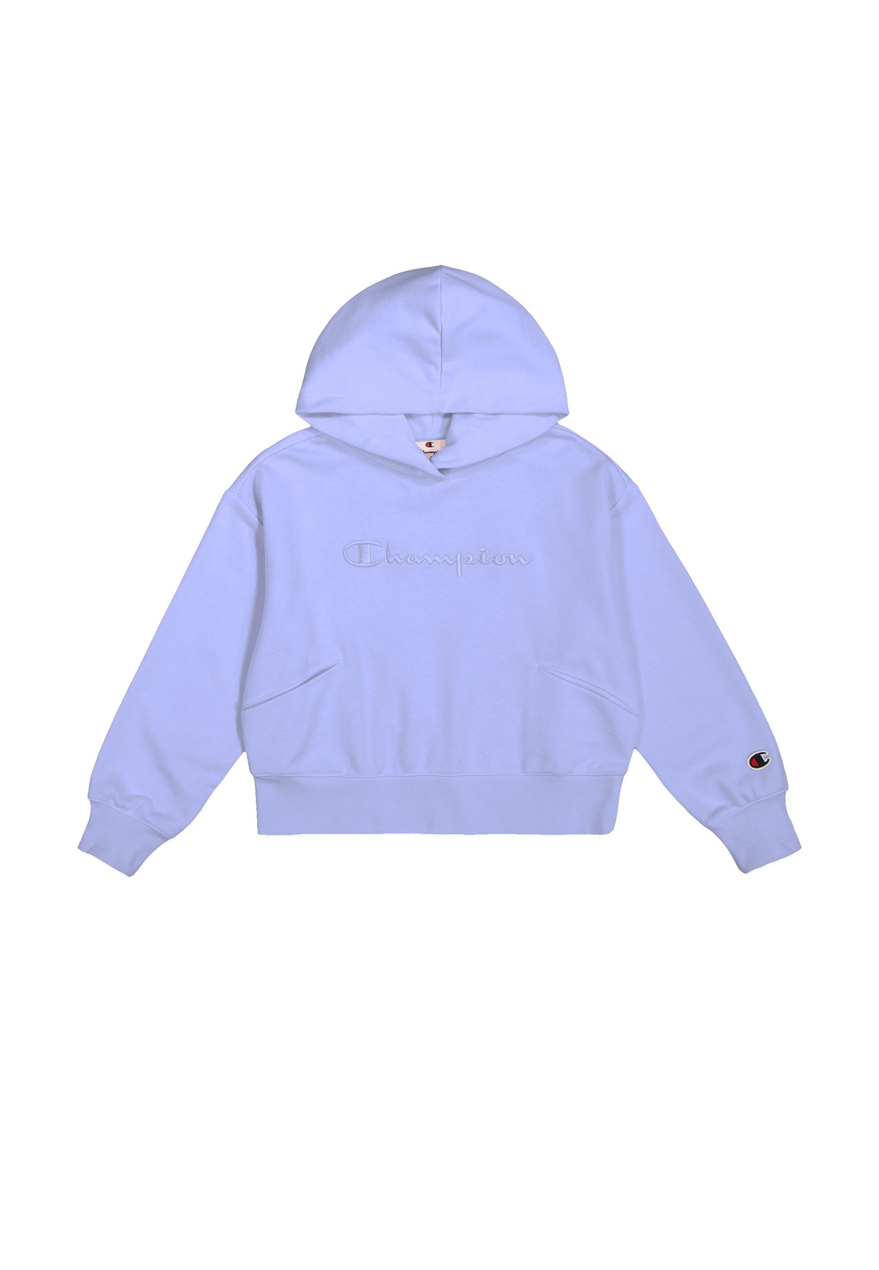 Hoodie Sweat Champion Vert Pastel Sweat-shirt Champion Authentic