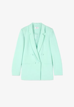 Miętowozielona dwurzędowa marynarka z klapami z wycięciem, długimi rękawami, dwoma przednimi guzikami i kieszeniami z rozcięciami, przedstawiona na białym tle.