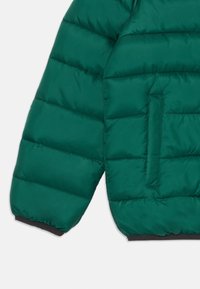 Casaco puffer verde com textura acolchoada, apresentando um bolso lateral e punhos elásticos pretos. Acabamento suave e brilhante, design curto.