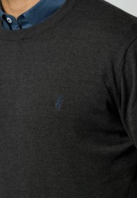 Dunkelgrauer Strickpullover mit Rundhalsausschnitt und einem kleinen blauen Logoakzent auf der Brust, der eine glatte Textur aufweist.