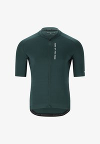 Sélectionné, dusty forest