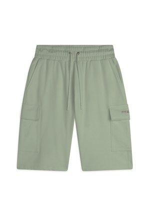 Freddy Short de sport - desert sage