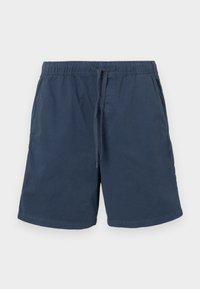 EASY  - Shorts - storm cloud