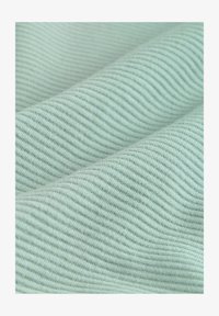 Nepasirinkta, sage green