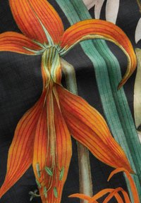Illustration de fleurs vibrantes orange et vert sur un fond noir, présentant des pétales allongés et de fins détails de texture dans le design.