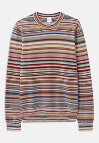 CREW NECK - Pulover - multi coloured