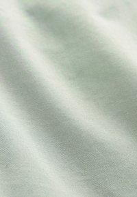 Next STRETCH - Shorts - light green