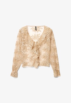 Blusa beige trasparente con ricamo floreale, scollo a V con volant, maniche lunghe e chiusura con bottoni. Presenta motivi intricati e una texture morbida.