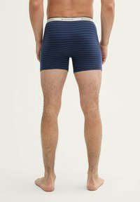 Kék csíkos boxer short fehér derékkal, amelyen a "TOM TAILOR" márkaneve látható. Az anyag lágy hatású, a fazon hátulról látható.