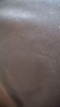 Black fabric showing a smooth, slightly textured surface with subtle sheen and minor lint, suitable for clothing or upholstery applications.