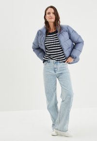 Creeks Chaqueta de invierno - blue grey