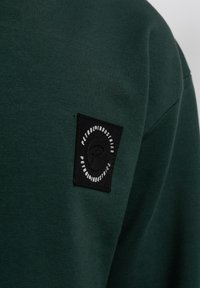 Petrol Industries STEVENSVILLAGE - Sweater - bottle