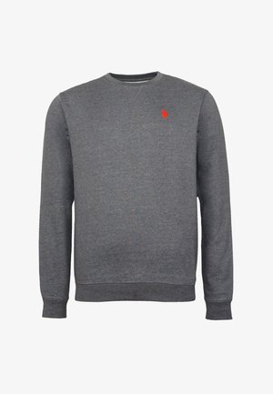 U.S. Polo Assn., RUNDHALS - Mikina - anthrazit