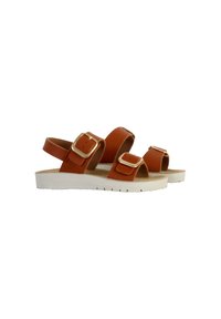 Sandali in materiale sintetico marrone con due fibbie regolabili, suola in gomma bianca e design a punta aperta per la traspirabilità.