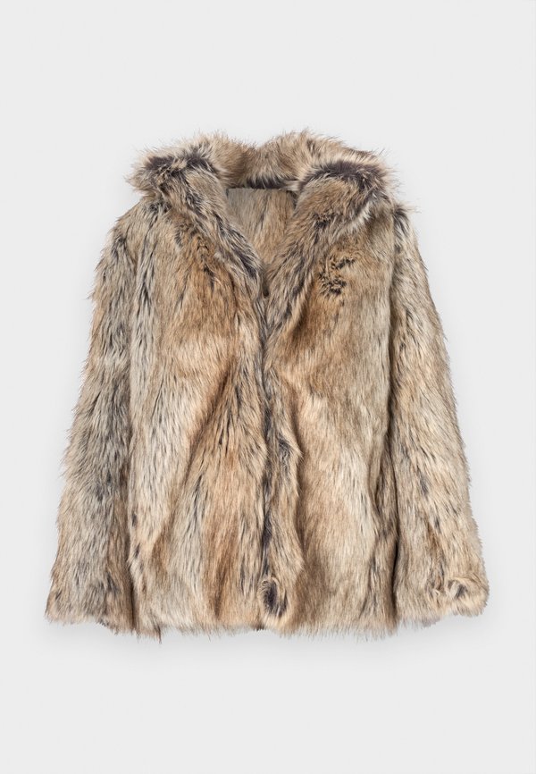 FAUNE - Winter jacket - naturel4