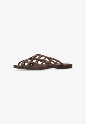 sacha, Muiltjes - brown