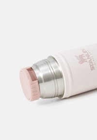 Bouteille d'eau en acier inoxydable avec une finition matte rose clair, un bec en métal et un bouchon en plastique rose avec une prise texturée.