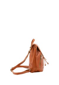Borsa a tracolla in pelle color nocciola con una forma triangolare unica, zip asimmetrica singola e tracolla regolabile. Texture liscia con una leggera lucentezza.