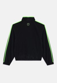 Kijelölve, black/signal green