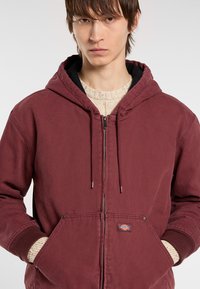 Ung mand iført en bordeauxfarvet zip-up hættetrøje over en beige striktrøje, hænderne i hættetrøje-lommerne, neutral udtryk, hvid baggrund.