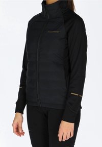 Doudoune noire avec un col montant, dotée d'une fermeture éclair frontale et d'accents dorés sur les manches. Matière légère, design slim.