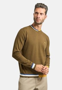 Maglione marrone lavorato a maglia con scollo tondo. Presenta accenti multicolori in blu, bianco e giallo sul colletto e sull'orlo. Dettaglio semplice con logo.
