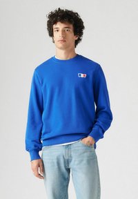 Blauwe sweatshirt van zacht materiaal, met een ronde hals, lange mouwen en een klein kleurgebrek logo op de borst.