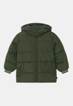 TODDLER BOY - Veste d'hiver - chives