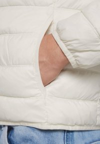 Camp David STEPP  - Light jacket - kitt