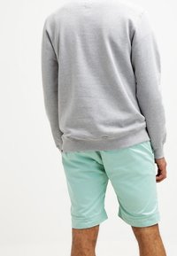 Eine Person trägt einen hellgrauen Sweatshirt und mintgrüne knielange Shorts, von hinten vor einem schlichten weißen Hintergrund gezeigt.