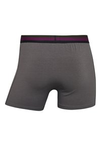 Boxer shorts grigi con una texture morbida, un design aderente e un elastico a contrasto con strisce verdi, viola e nere.
