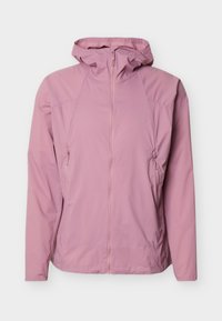 Nevybráno, dusky orchid