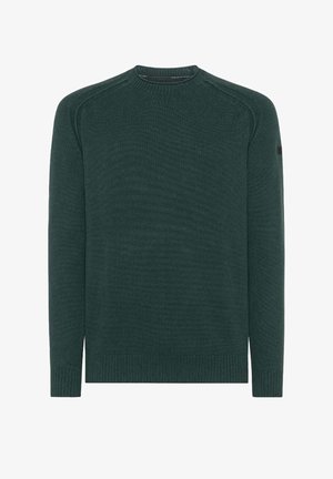 Dark green knitted crew neck sweater with long sleeves and ribbed cuffs and hem, displayed on a plain white background.