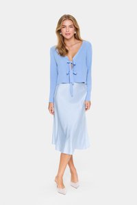 Lichtblauwe geribbelde cardigan met striksluiting, gecombineerd met een zijden, knielange lichtblauwe rok. Elegante puntige, versierde schoenen.