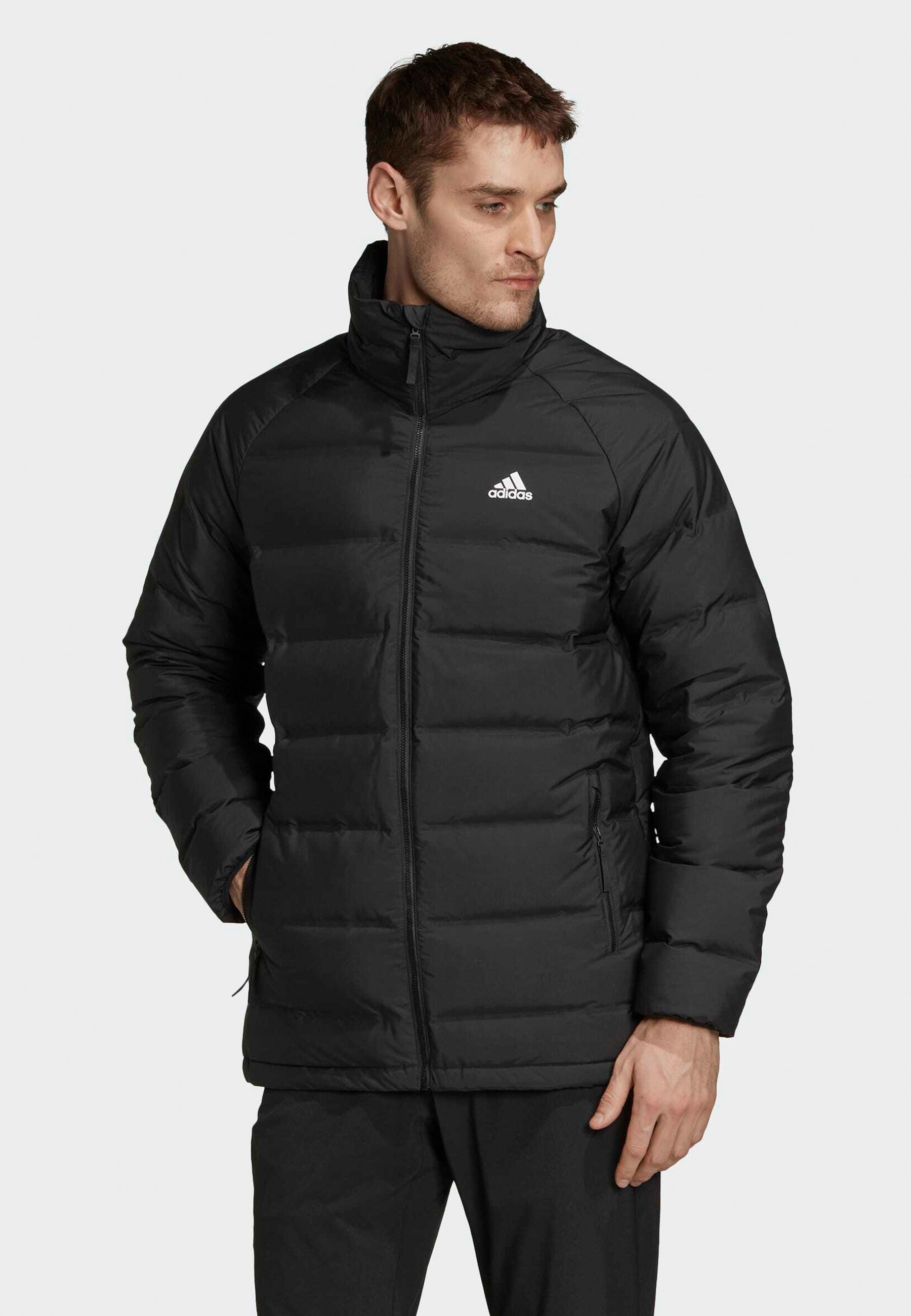 adidas Performance Gewatteerde jas - black/zwart - Zalando.be
