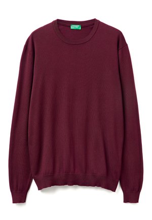 CREW NECK - Strickpullover - red