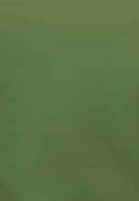 Matte olijfgroen stof met een gladde textuur, met subtiele kleurvariaties. Geen zichtbare patronen of hardwaredetails.