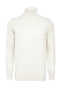 Pull à col roulé en crème en tissu tricot doux. Présente des poignets et un col côtelés, avec une texture lisse et une coupe décontractée. Sans motifs ni accents.