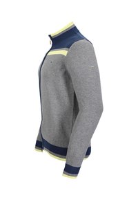 Maglione grigio con zip e colletto alto, dettagli in blu navy e verde chiaro, polsini e orlo a costine. Tessuto morbido con design aderente.