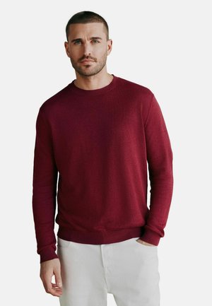 Man with short hair and beard wearing a long-sleeve burgundy sweater and light-colored pants against a plain background.