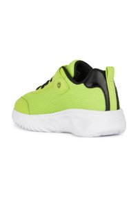 Geox ASSISTER - Zapatillas - lime black