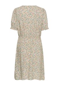 Robe à manches courtes, longueur genou, avec taille élastique, base vert clair et petit imprimé floral multicolore, vue de dos.