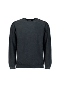 Grijze crewneck trui van gestructureerde stof, met lange mouwen en ribgebreide manchetten en zoom. Bevat een klein logo-detail op de mouw.