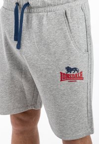 Šedé bavlněné kraťasy s uvolněným střihem, které mají modrou šňůrku a červené a modré vyšívané logo na levém stehně.