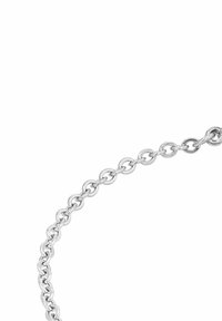 Collana in argento con maglie rotonde intrecciate, con una finitura liscia e lucida e una consistenza brillante e uniforme.