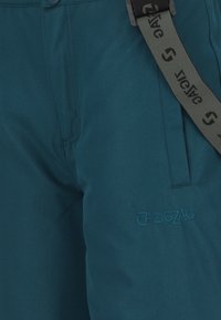 Teal stofbukser med en glat tekstur, der har en knaplukning og et logo af "ZIGZAG" broderet i en lidt mørkere nuance.