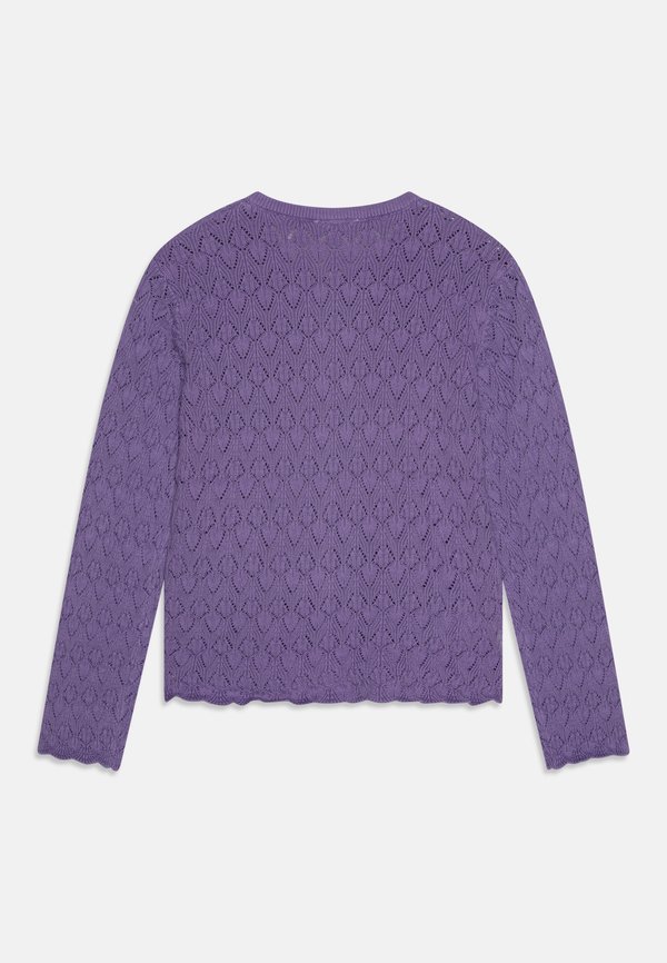 HCCILJA CARDIGAN - Cardigan - purple2